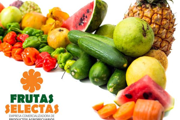 Superó Frutas Selectas Camagüey su plan de ventas en 2025