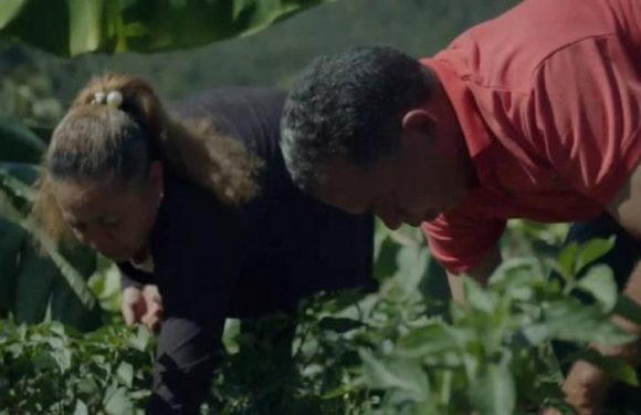 Naciones Unidas apoya la recuperación de áreas agrícolas de Santiago de Cuba