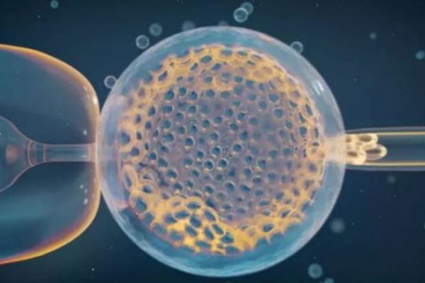 Variantes genéticas provocan los abortos espontáneos