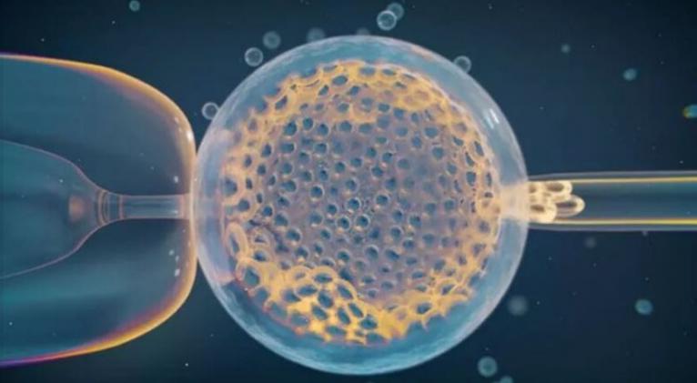 Variantes genéticas provocan los abortos espontáneos