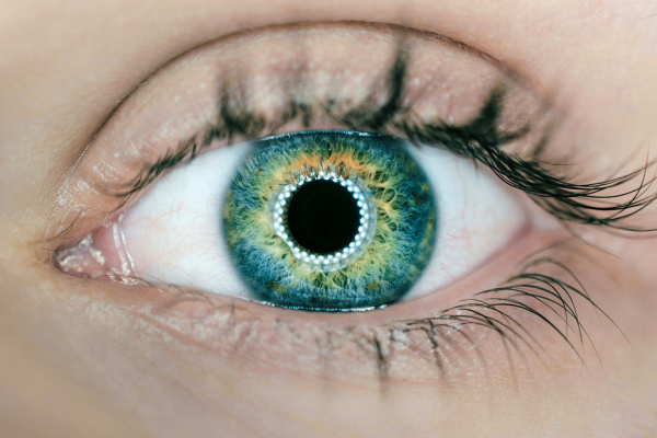 Esto lo cambia todo: impresión en 3D devuelve la vista a un ciego