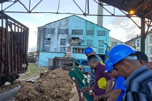Industria azucarera en Camagüey procesa caña tras exitosa prueba
