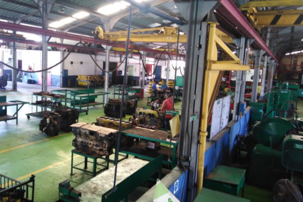 Sobresalientes resultados de trabajadores Talleres Agropecuarios