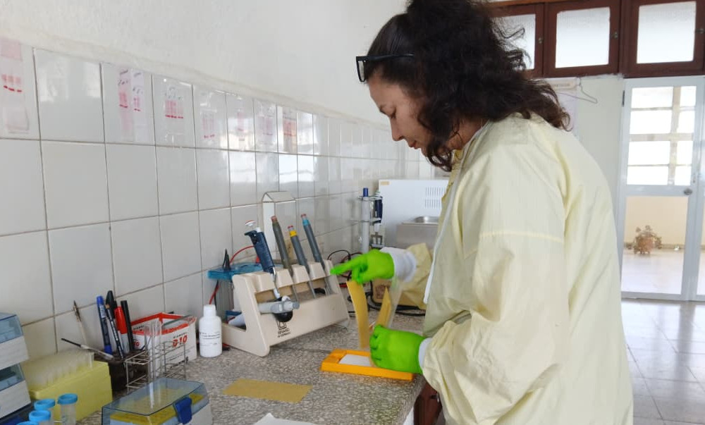 Innovación y salud desde el Centro de Inmunología y Productos Biológicos en Camagüey