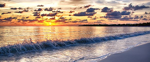 Programas científicos fortalecen turismo camagüeyano