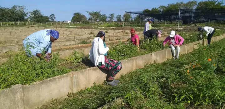Fin de semana productivo protagonizado por los trabajadores camagüeyanos