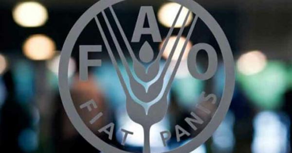 FAO apoya a Cuba en esfuerzos agrícolas