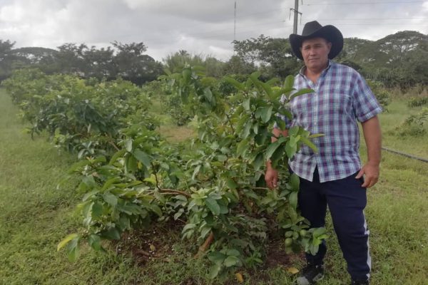 El Gallego: un campesino ejemplar de Camagüey