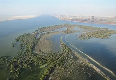 Inyectar agua al desierto: La apuesta hídrica de Emiratos Árabes Unidos