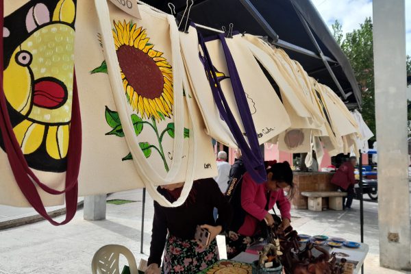 Promueve Proyecto Dando y Dando el arte local (+ Fotos)