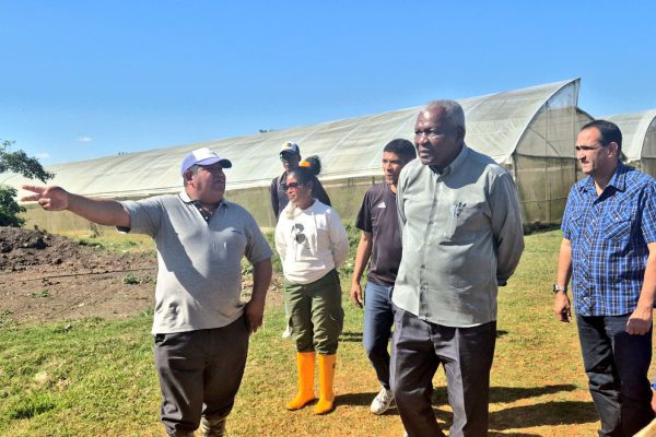 Constató Esteban Lazo producción agropecuaria en La Habana