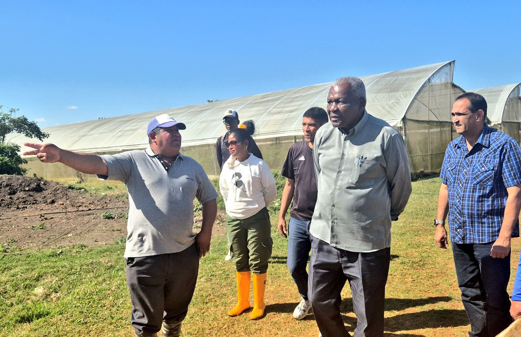 Constató Esteban Lazo producción agropecuaria en La Habana