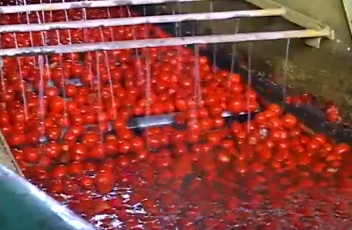 Nuevitas: compromiso con la calidad y la sostenibilidad