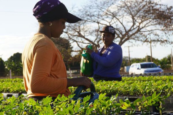 Fomentan igualdad de género en comunidades costeras de Cuba
