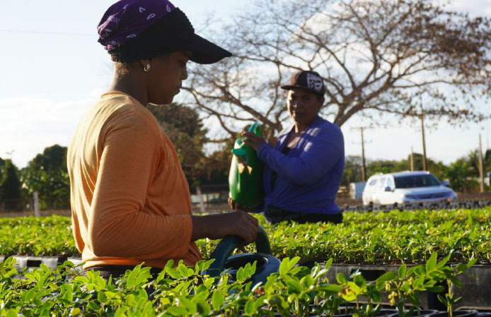 Fomentan igualdad de género en comunidades costeras de Cuba