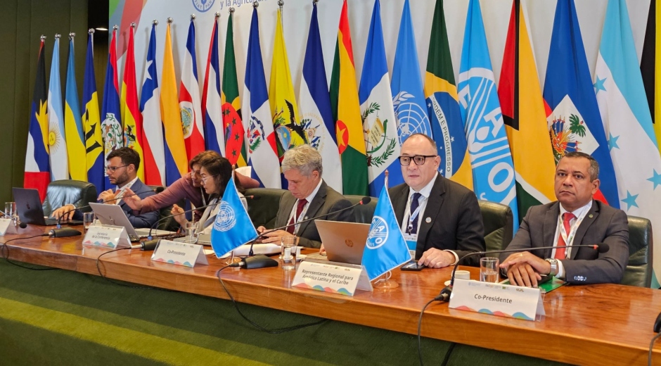 América Latina progresa, pero 33 millones aún sufren hambre