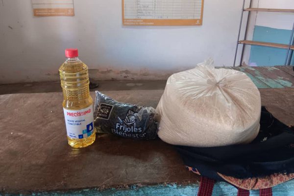 Contribuye Programa Mundial de Alimentos a la atención a embarazadas