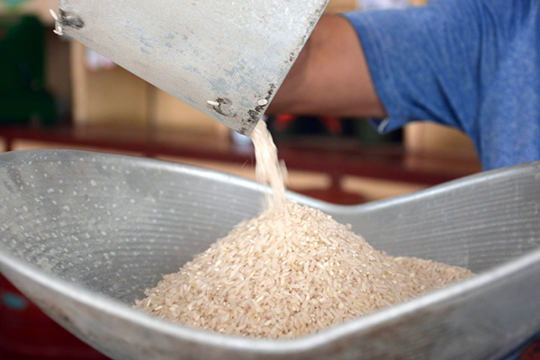 En distribución arroz de la canasta familiar normada