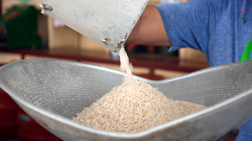 En distribución arroz de la canasta familiar normada