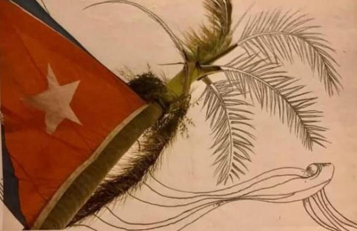 Morales Ojeda: La dignidad no colapsa nunca