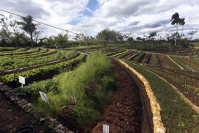 Capacitan a productores en manejo sostenible de tierras
