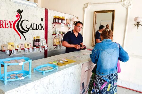 Avanza Camagüey en perfeccionamiento de la gestión estratégica de desarrollo territorial