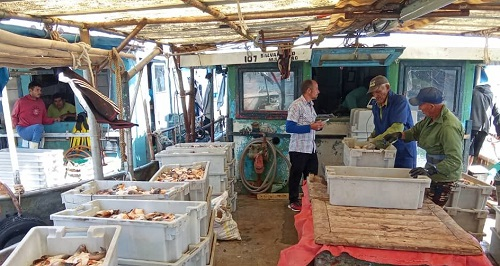 Empresa Pesquera Industrial de Nuevitas enfila positivamente sus proas para capturas de especies