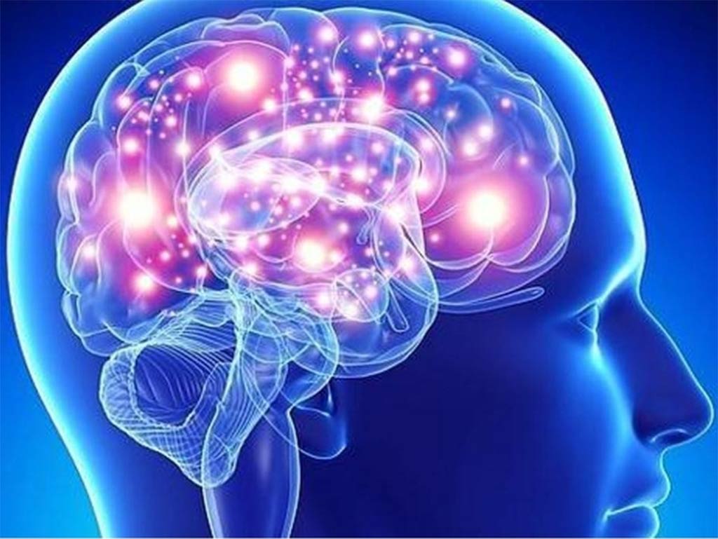 Una semana de reflexión para nuestra salud cerebral