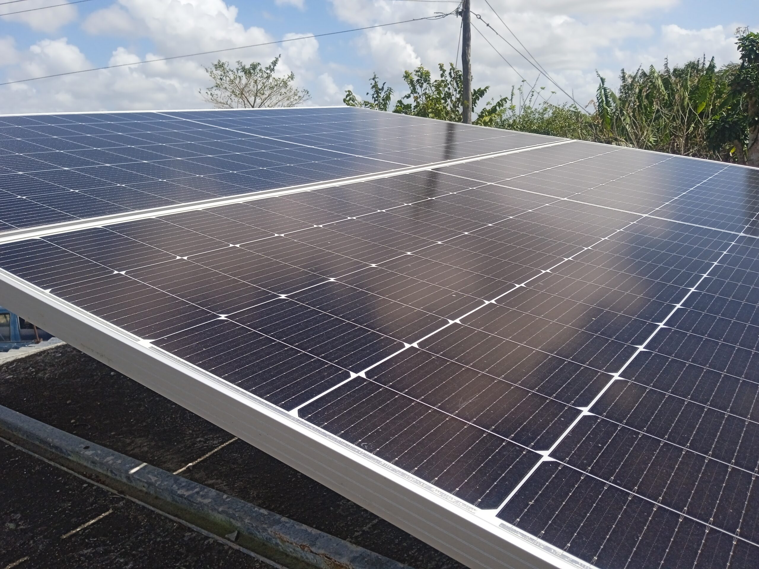 Campesinos de Camagüey comprometidos con las producciones agroalimentarias