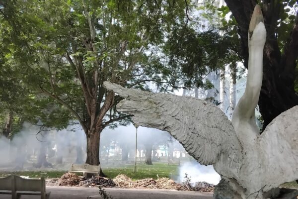 Alertan sobre perjuicios a la salud quema no controlada de desechos sólidos