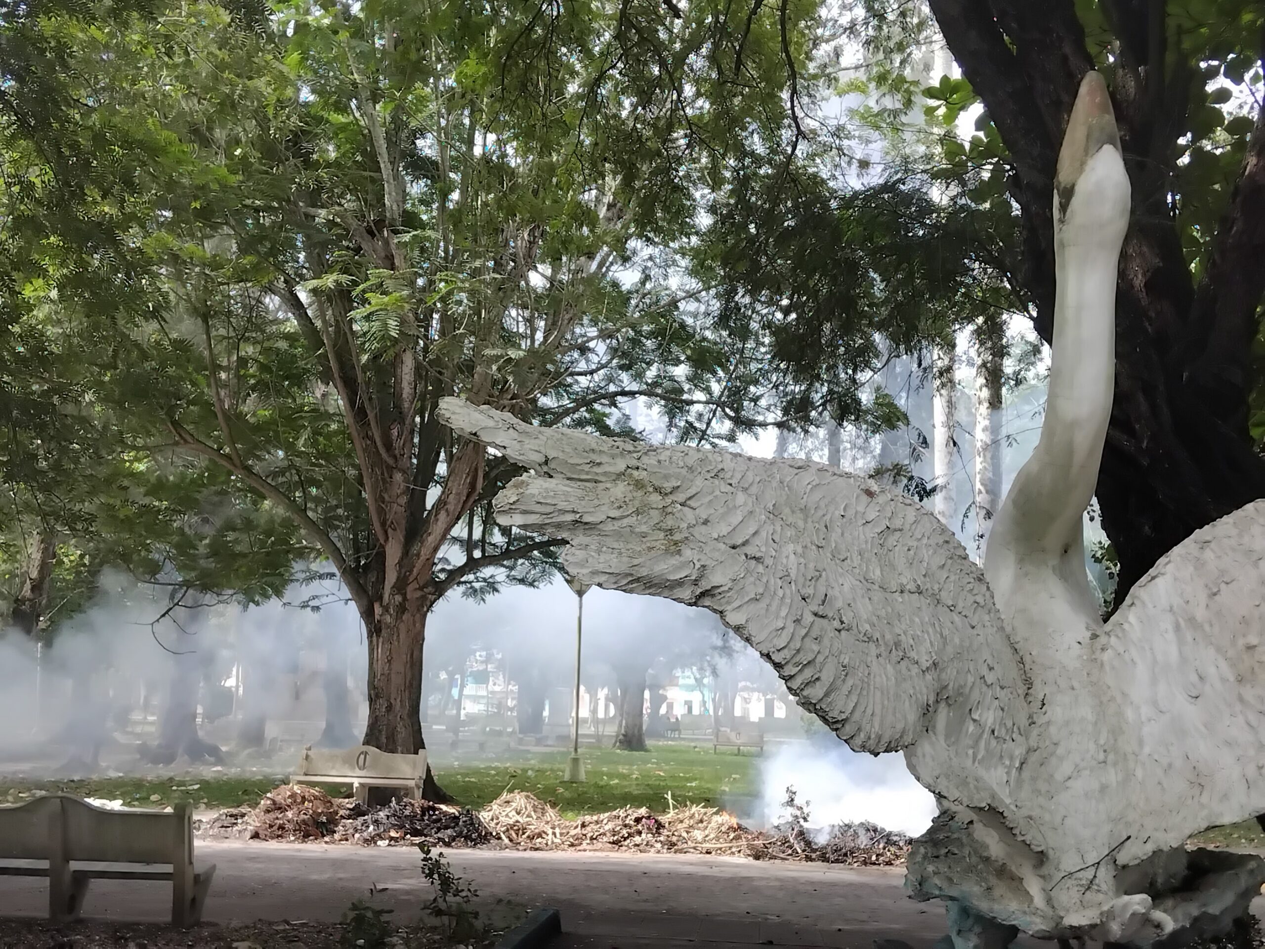 Alertan sobre perjuicios a la salud quema no controlada de desechos sólidos