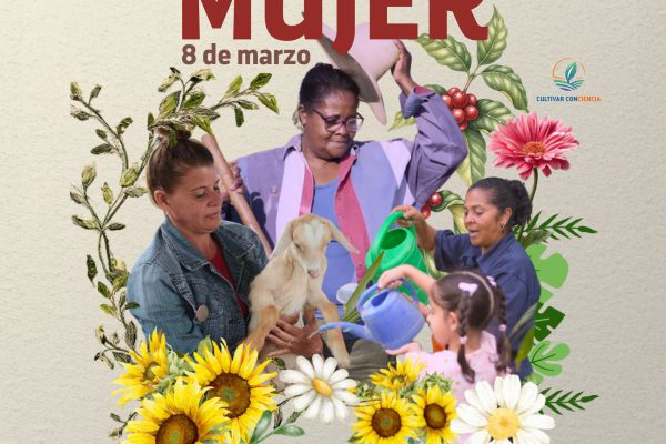 Gobierno cubano felicita a las mujeres y destaca aportes al país (+ Post)