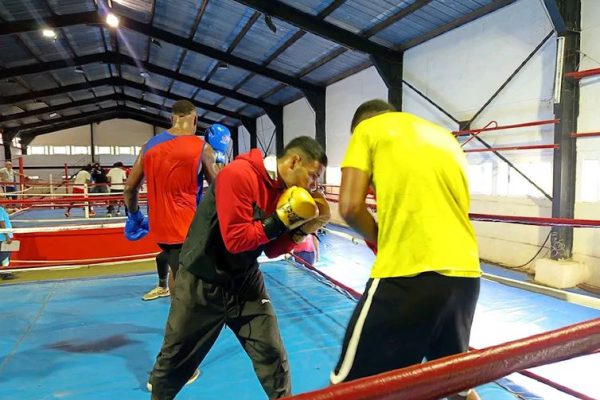 Boxeadores cubanos se preparan para clasificatorio centrocaribeño
