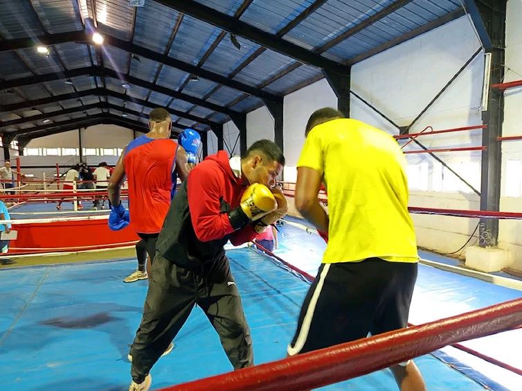 Boxeadores cubanos se preparan para clasificatorio centrocaribeño