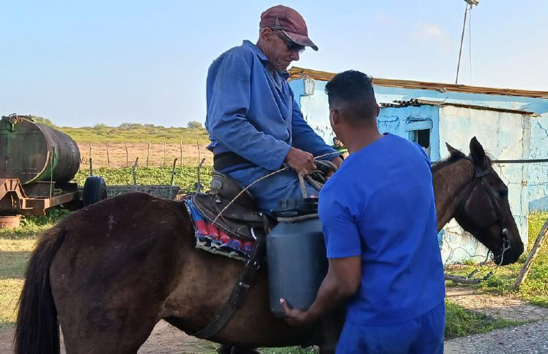 Ganaderos camagüeyanos aseguran entrega de leche a pesar de contingencia (+ Fotos)