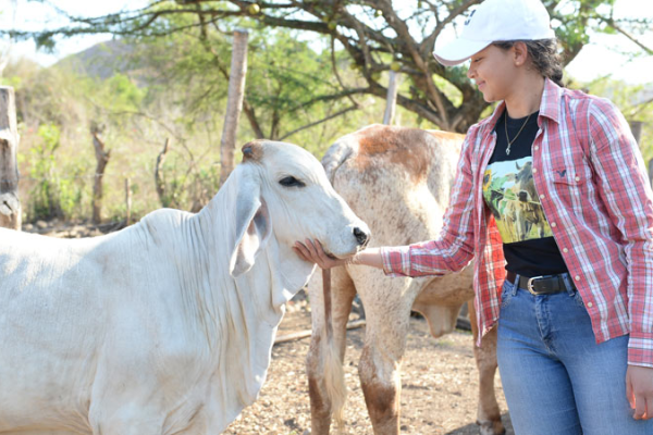 Responsabilidad ciudadana: clave para el crecimiento agropecuario en Camagüey