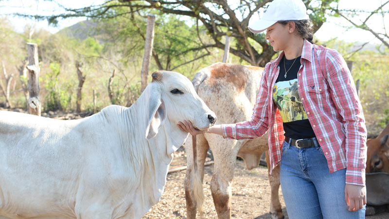 Responsabilidad ciudadana: clave para el crecimiento agropecuario en Camagüey