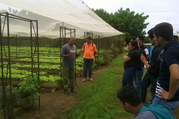 Asociación en Camagüey promueve la agricultura sostenible