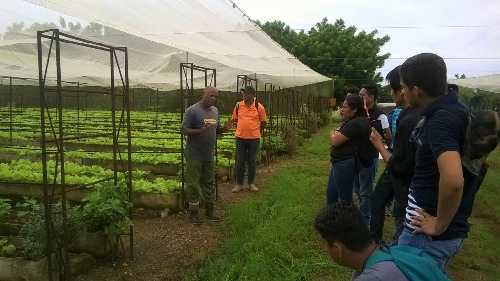 Asociación en Camagüey promueve la agricultura sostenible