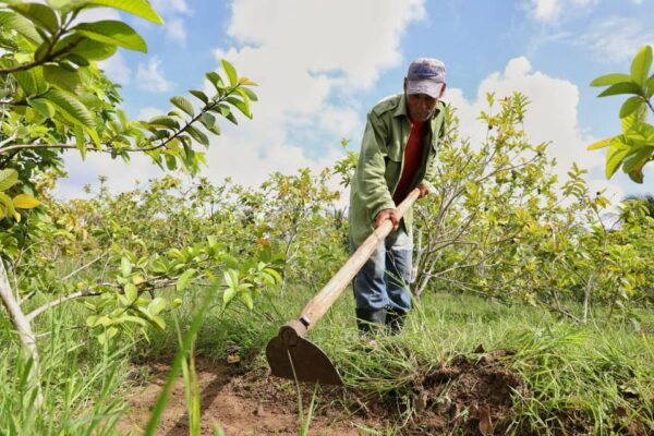Trabaja empresa camagüeyana por un mayor desarrollo