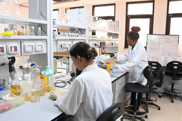 Jusvinza: medicamento seguro y altamente eficaz para tratar el chikungunya