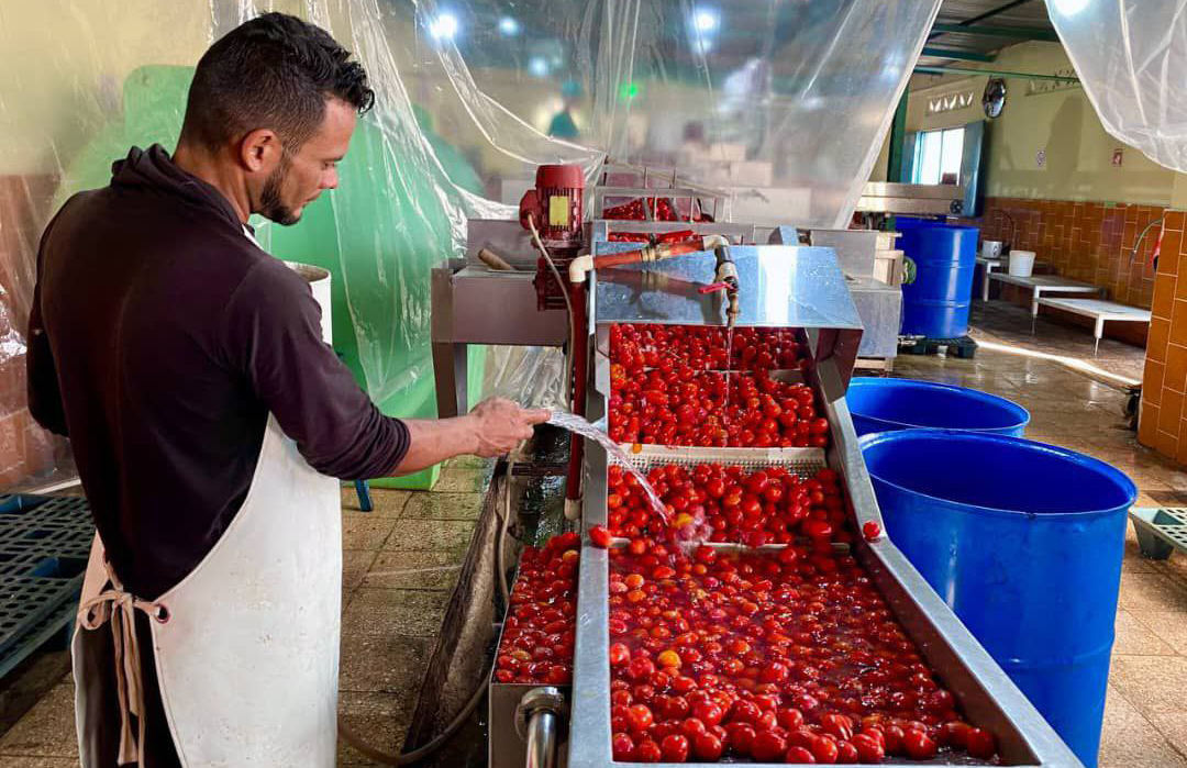 Llaman en Camagüey a potenciar producciones agroalimentarias