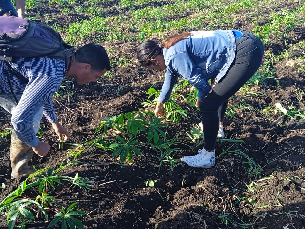 Trabajo y compromiso de camagüeyanos rumbo al 1ro de Mayo