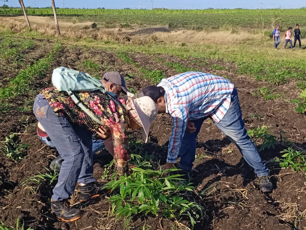 Trabajo y compromiso de camagüeyanos rumbo al 1ro de Mayo