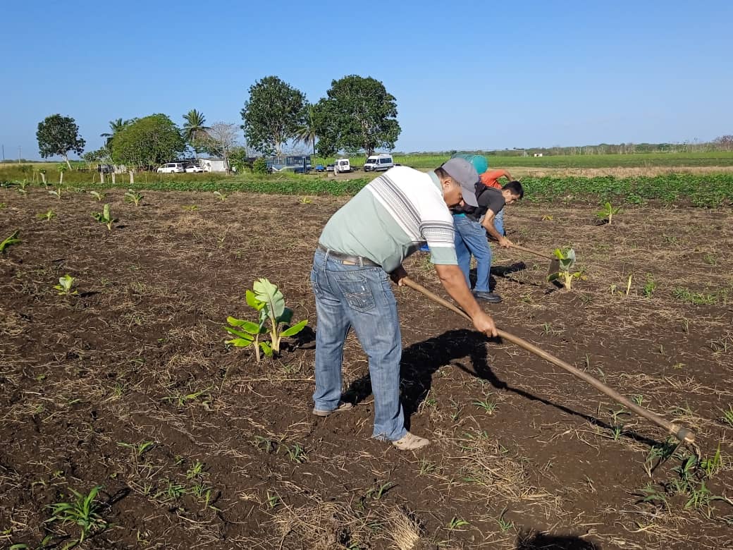 Trabajo y compromiso de camagüeyanos rumbo al 1ro de Mayo