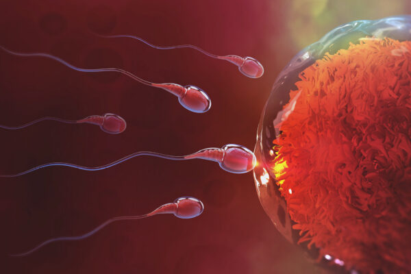 Descubren causa actual de la baja tasa de fertilidad masculina