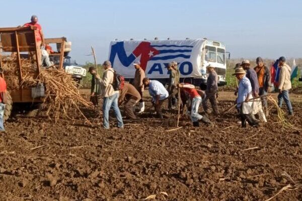 Convocan a trabajo productivo nacional en saludo al 1ro de Mayo