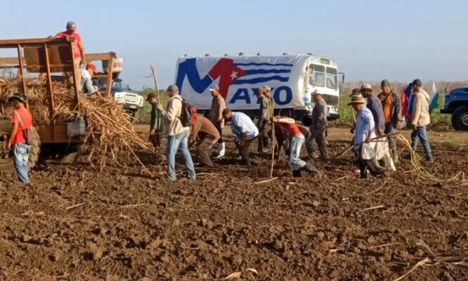 Convocan a trabajo productivo nacional en saludo al 1ro de Mayo