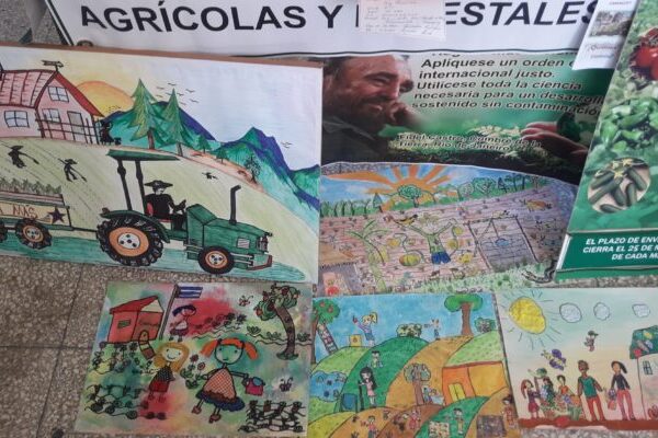 Concurso medioambiental Conciencia verde celebra 20 años de existencia