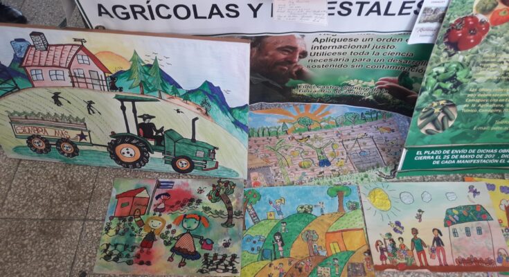 Concurso medioambiental Conciencia verde celebra 20 años de existencia